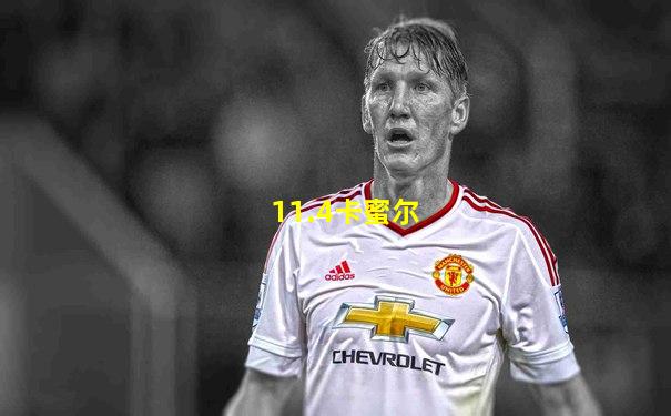 11.4卡蜜尔