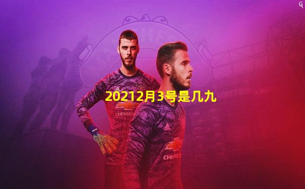 20212月3号是几九