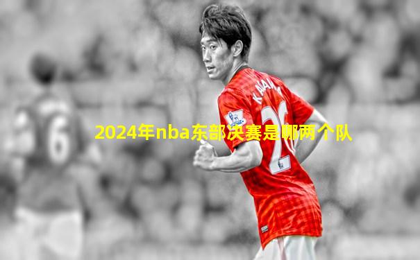 2024年nba东部决赛是哪两个队