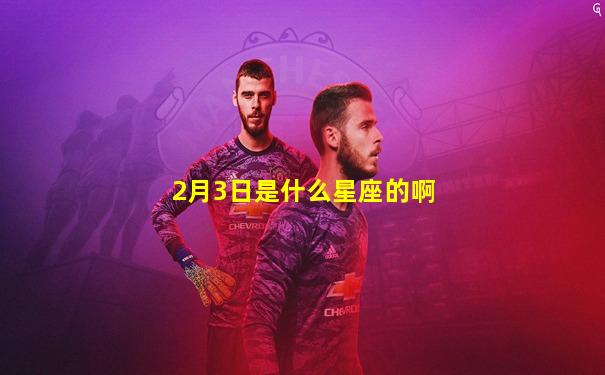 2月3日是什么星座的啊
