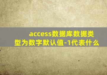 access数据库数据类型为数字默认值-1代表什么