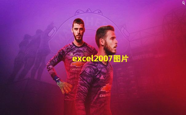 excel2007图片
