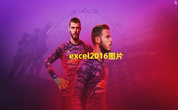 excel2016图片