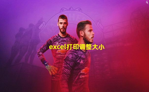 excel打印调整大小