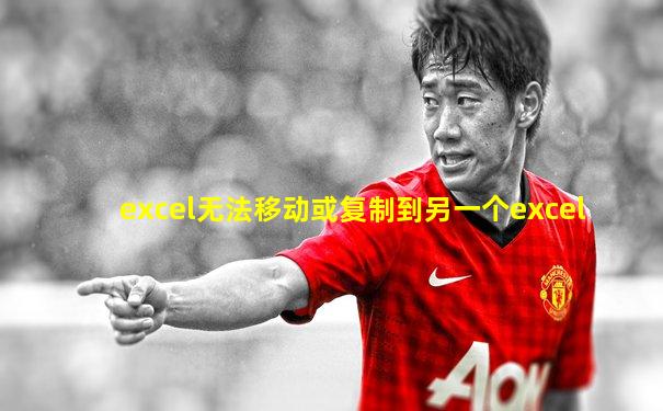 excel无法移动或复制到另一个excel