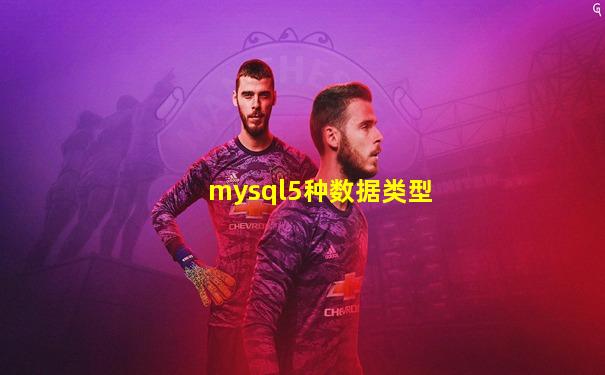 mysql5种数据类型