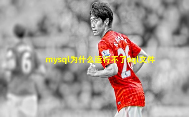 mysql为什么运行不了sql文件