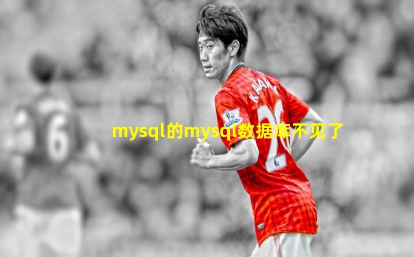 mysql的mysql数据库不见了