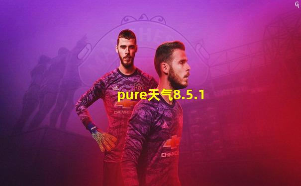 pure天气8.5.1