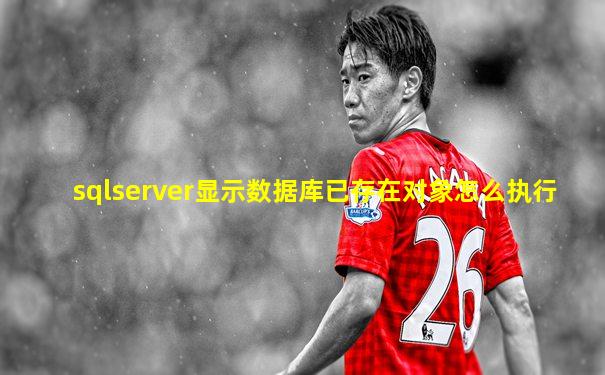 sqlserver显示数据库已存在对象怎么执行