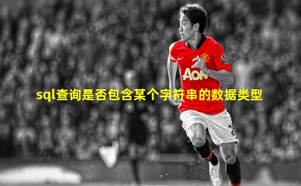 sql查询是否包含某个字符串的数据类型