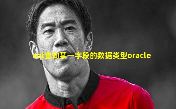 sql查询某一字段的数据类型oracle