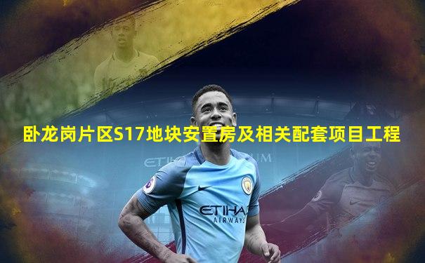 卧龙岗片区S17地块安置房及相关配套项目工程