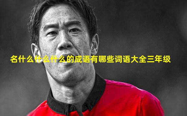 名什么什么什么的成语有哪些词语大全三年级