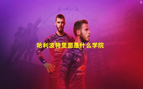 哈利波特里面是什么学院