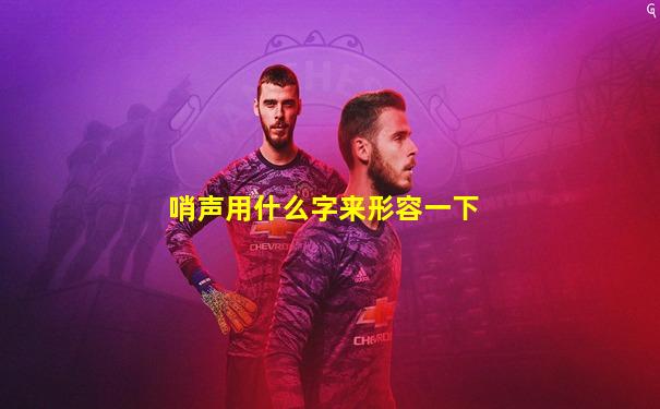 哨声用什么字来形容一下