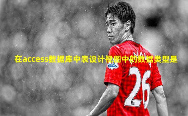 在access数据库中表设计视图中的数据类型是