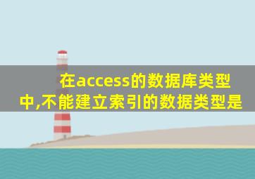 在access的数据库类型中,不能建立索引的数据类型是