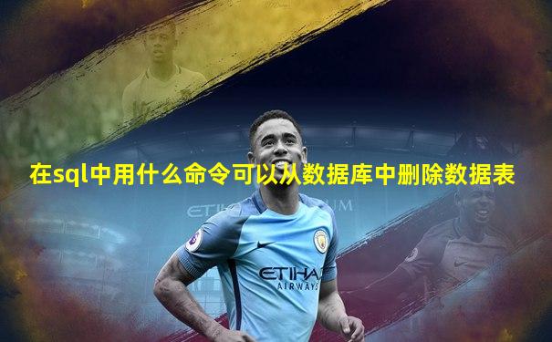 在sql中用什么命令可以从数据库中删除数据表