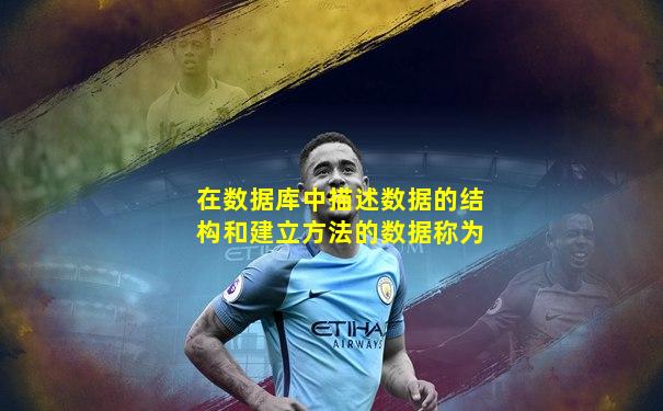 在数据库中描述数据的结构和建立方法的数据称为