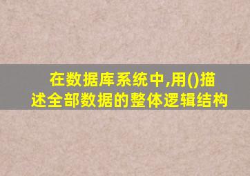 在数据库系统中,用()描述全部数据的整体逻辑结构
