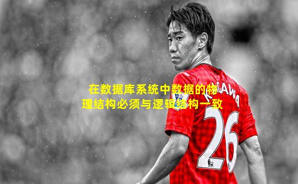 在数据库系统中数据的物理结构必须与逻辑结构一致