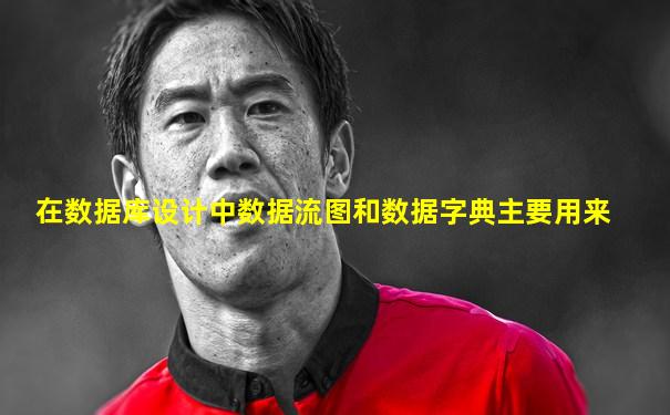 在数据库设计中数据流图和数据字典主要用来