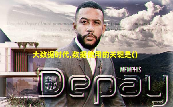 大数据时代,数据使用的关键是()