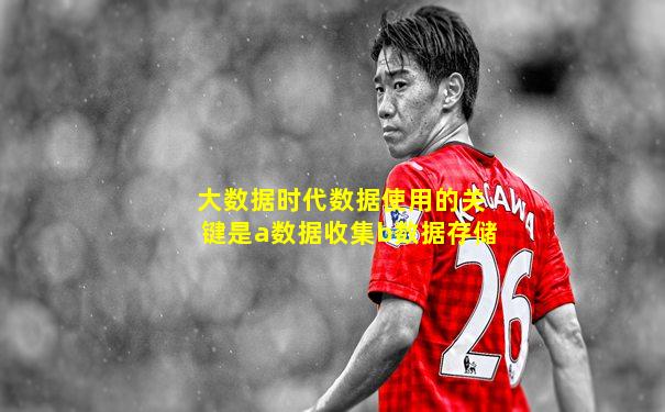 大数据时代数据使用的关键是a数据收集b数据存储