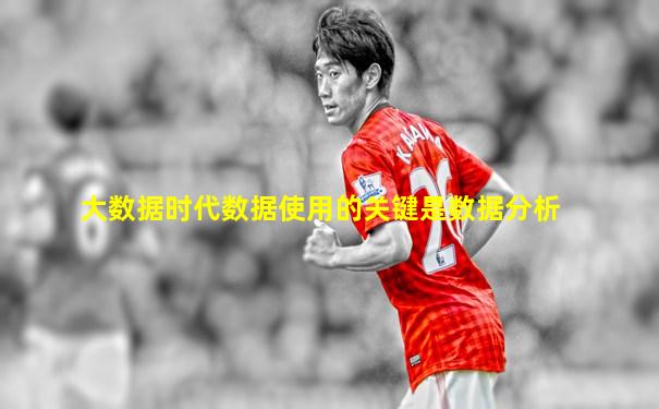 大数据时代数据使用的关键是数据分析