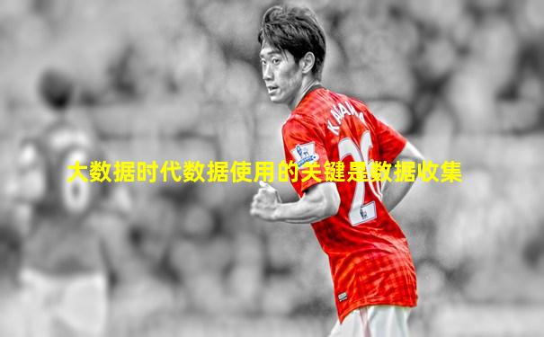 大数据时代数据使用的关键是数据收集