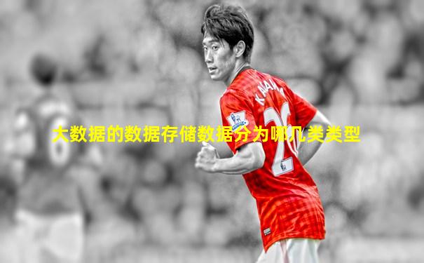 大数据的数据存储数据分为哪几类类型