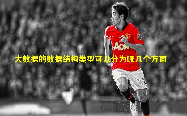 大数据的数据结构类型可以分为哪几个方面