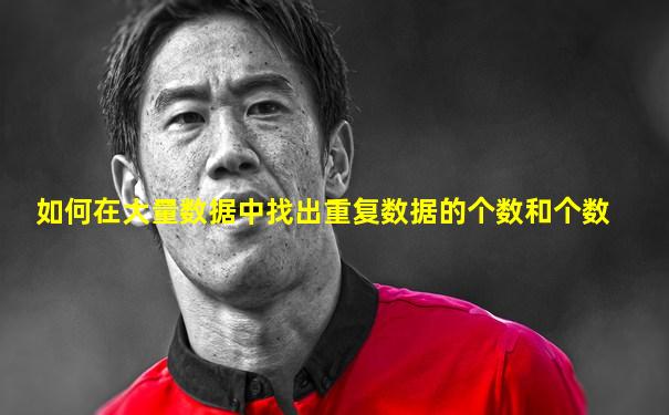 如何在大量数据中找出重复数据的个数和个数