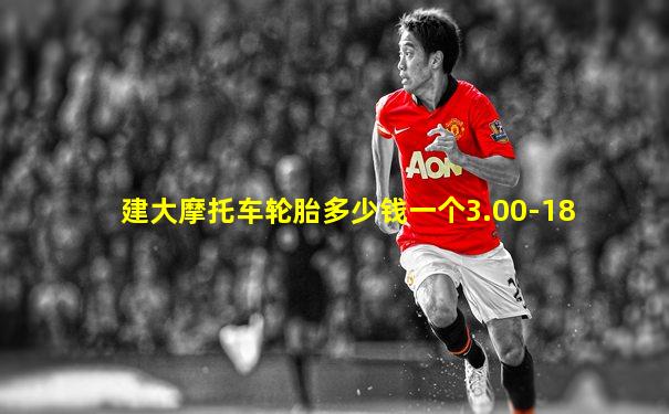 建大摩托车轮胎多少钱一个3.00-18
