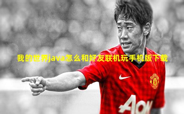我的世界java怎么和好友联机玩手机版下载