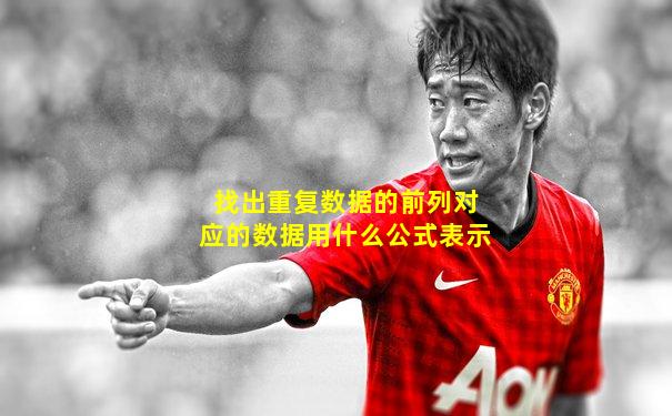 找出重复数据的前列对应的数据用什么公式表示