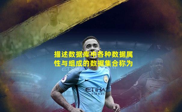 描述数据库中各种数据属性与组成的数据集合称为