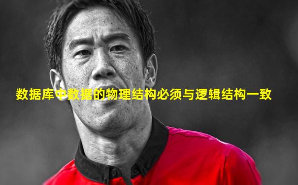 数据库中数据的物理结构必须与逻辑结构一致