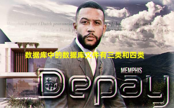 数据库中的数据库文件有三类和四类