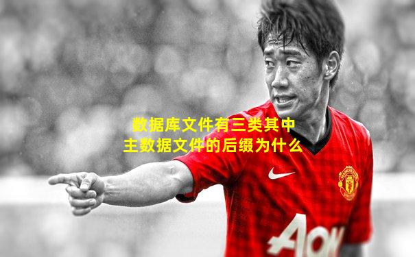 数据库文件有三类其中主数据文件的后缀为什么