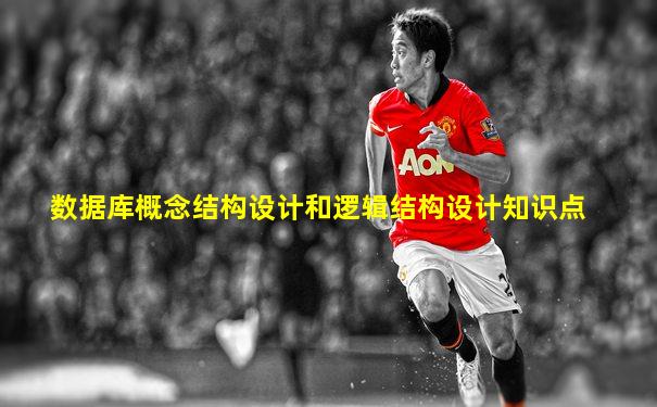数据库概念结构设计和逻辑结构设计知识点