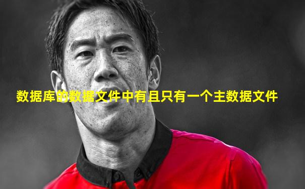 数据库的数据文件中有且只有一个主数据文件