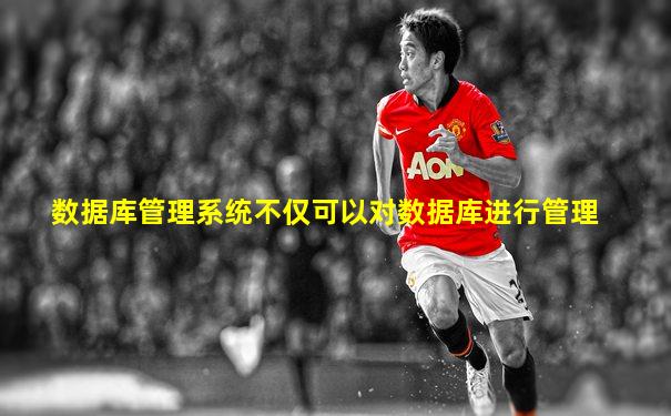数据库管理系统不仅可以对数据库进行管理