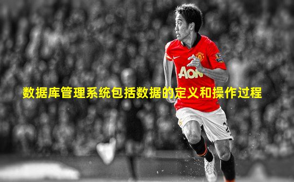 数据库管理系统包括数据的定义和操作过程