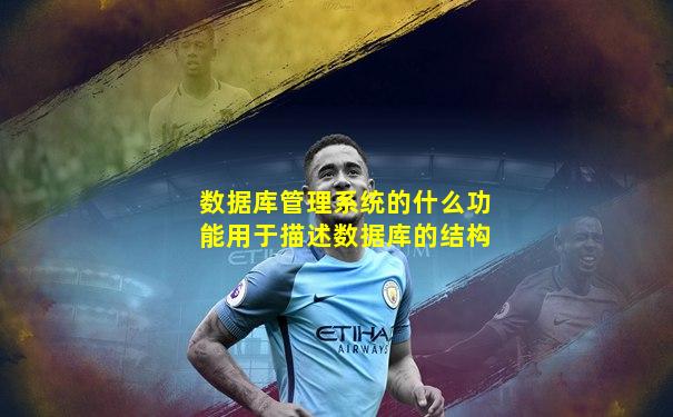 数据库管理系统的什么功能用于描述数据库的结构