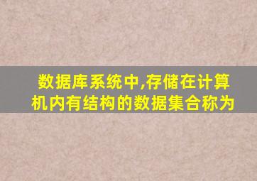 数据库系统中,存储在计算机内有结构的数据集合称为