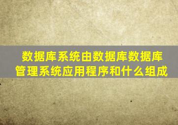 数据库系统由数据库数据库管理系统应用程序和什么组成