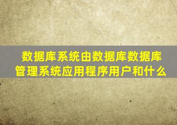 数据库系统由数据库数据库管理系统应用程序用户和什么