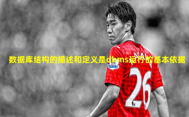 数据库结构的描述和定义是dbms运行的基本依据